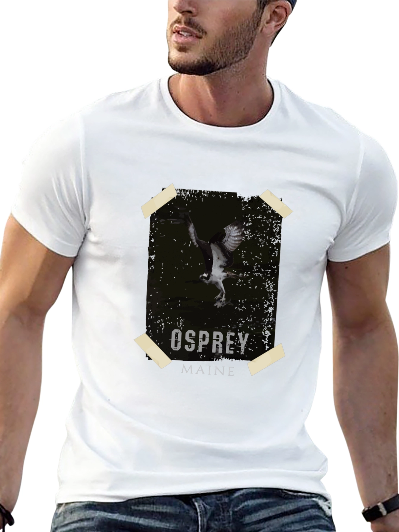 Osprey Maine Graphic Tee