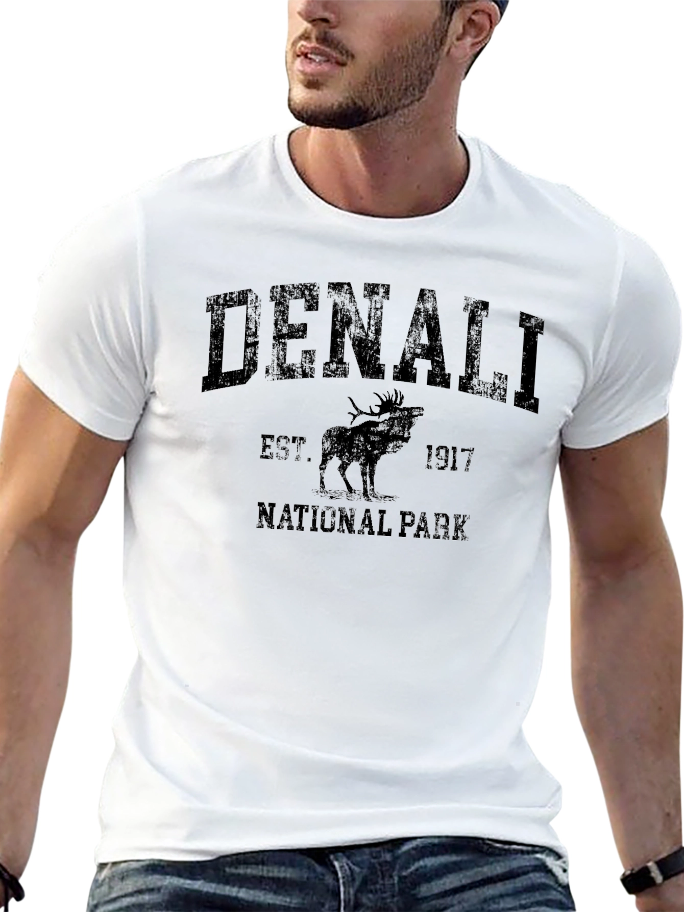 Denali National Park Black Graphic Tee