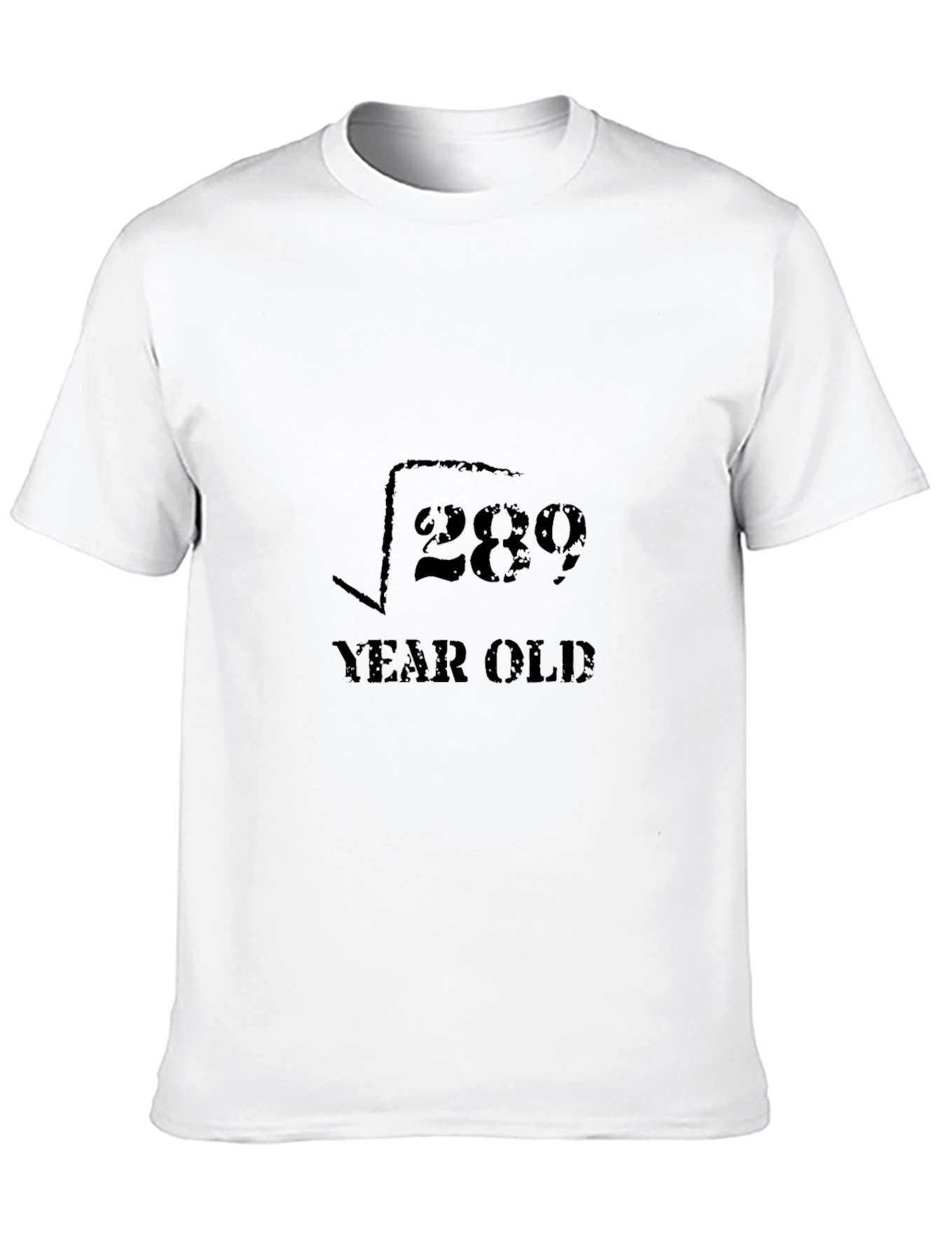 Funny Math 17 Year Old Birthday T-Shirt