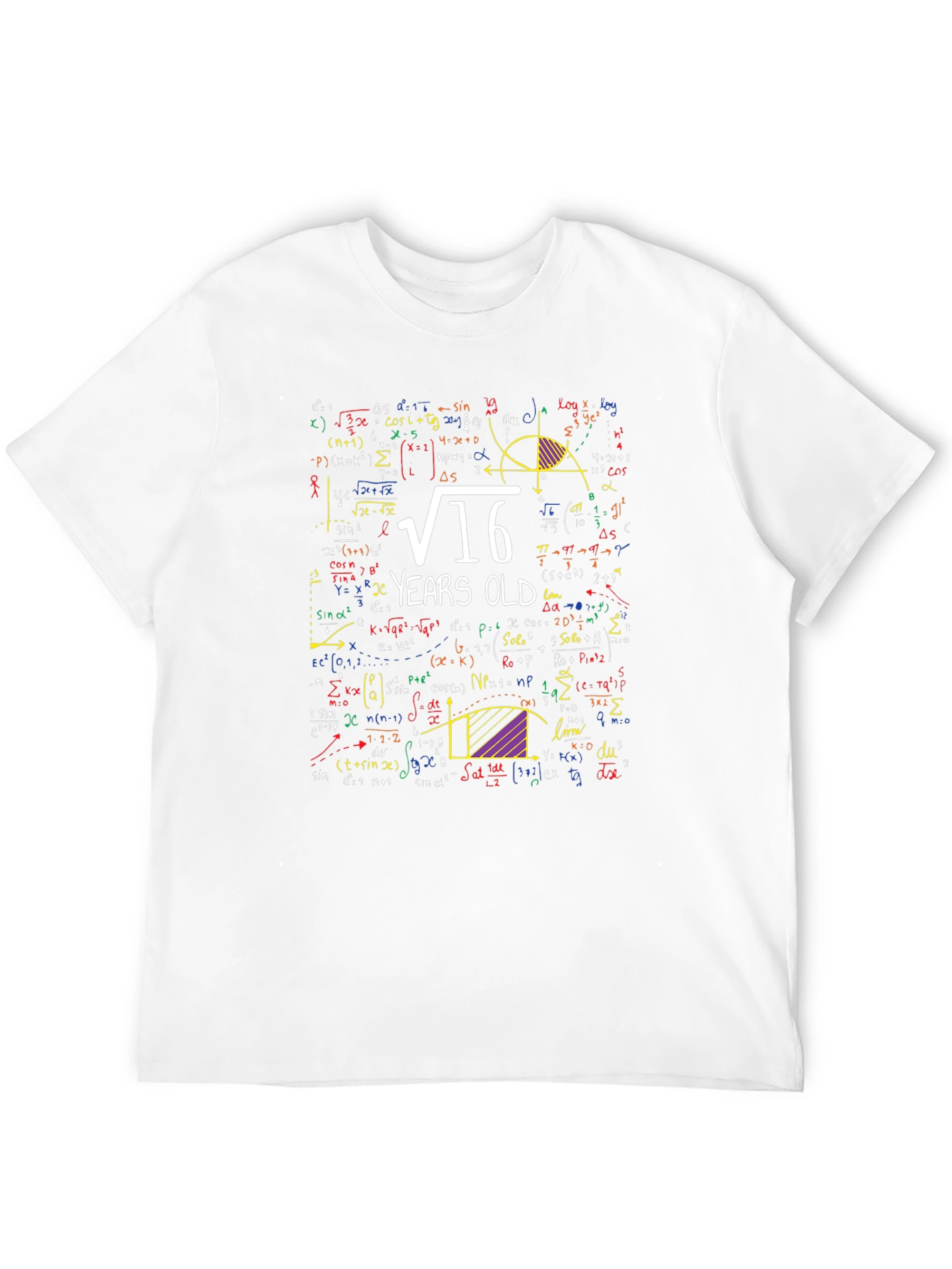 Math 16th Birthday T-Shirt - Funny Algebra Equation Tee