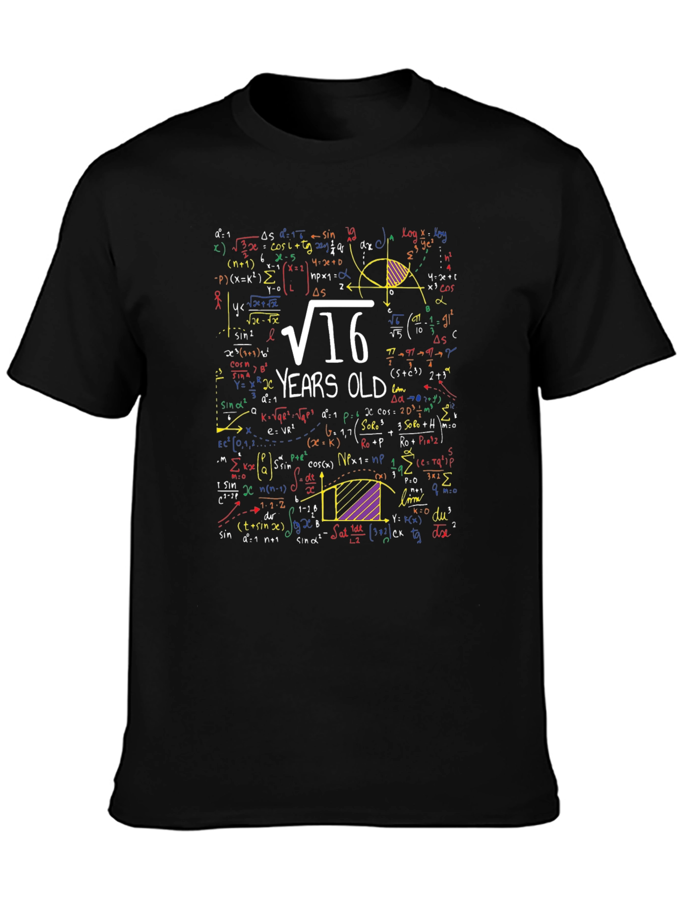 Math 16th Birthday T-Shirt - Funny Algebra Equation Tee