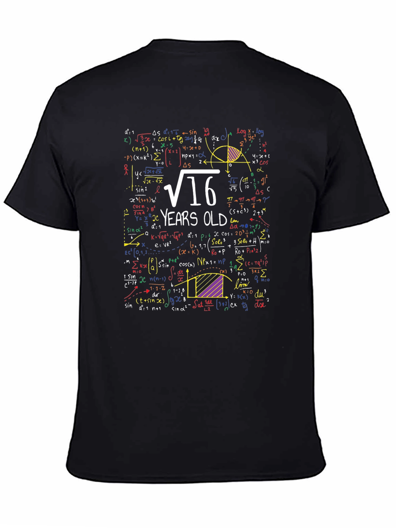Math 16th Birthday T-Shirt - Funny Algebra Equation Tee
