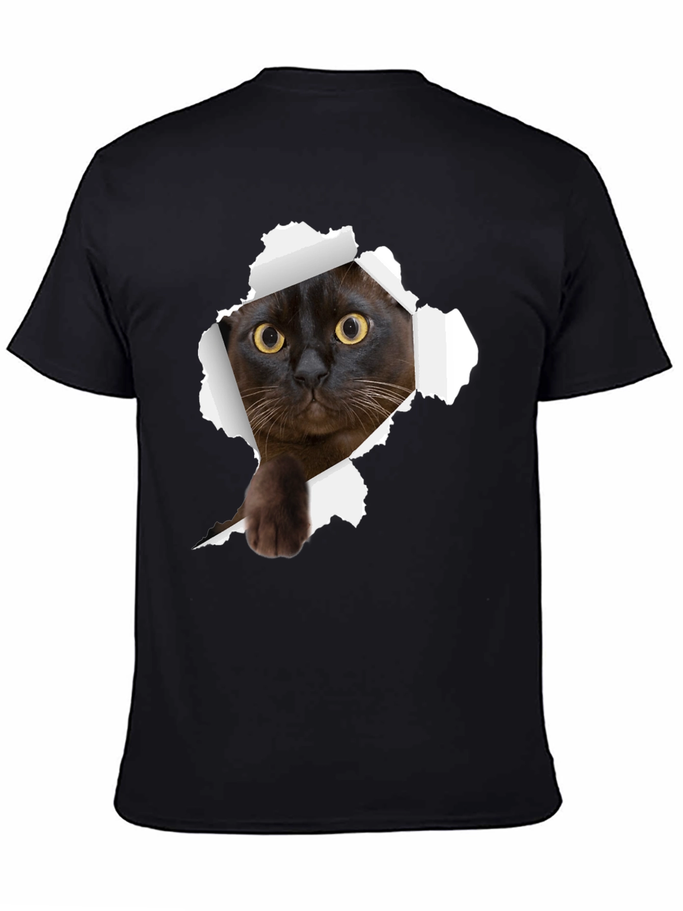 Black Cat Peek-a-Boo Graphic T-Shirt