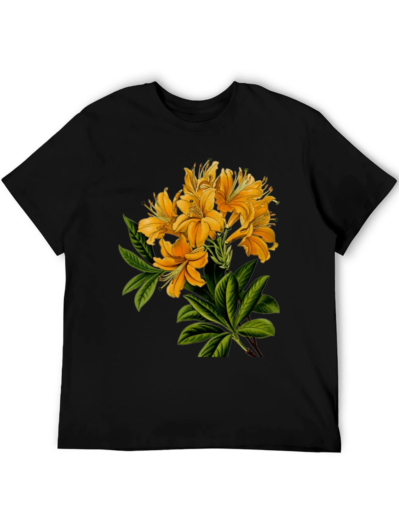 Floral Print Crew Neck T-Shirt
