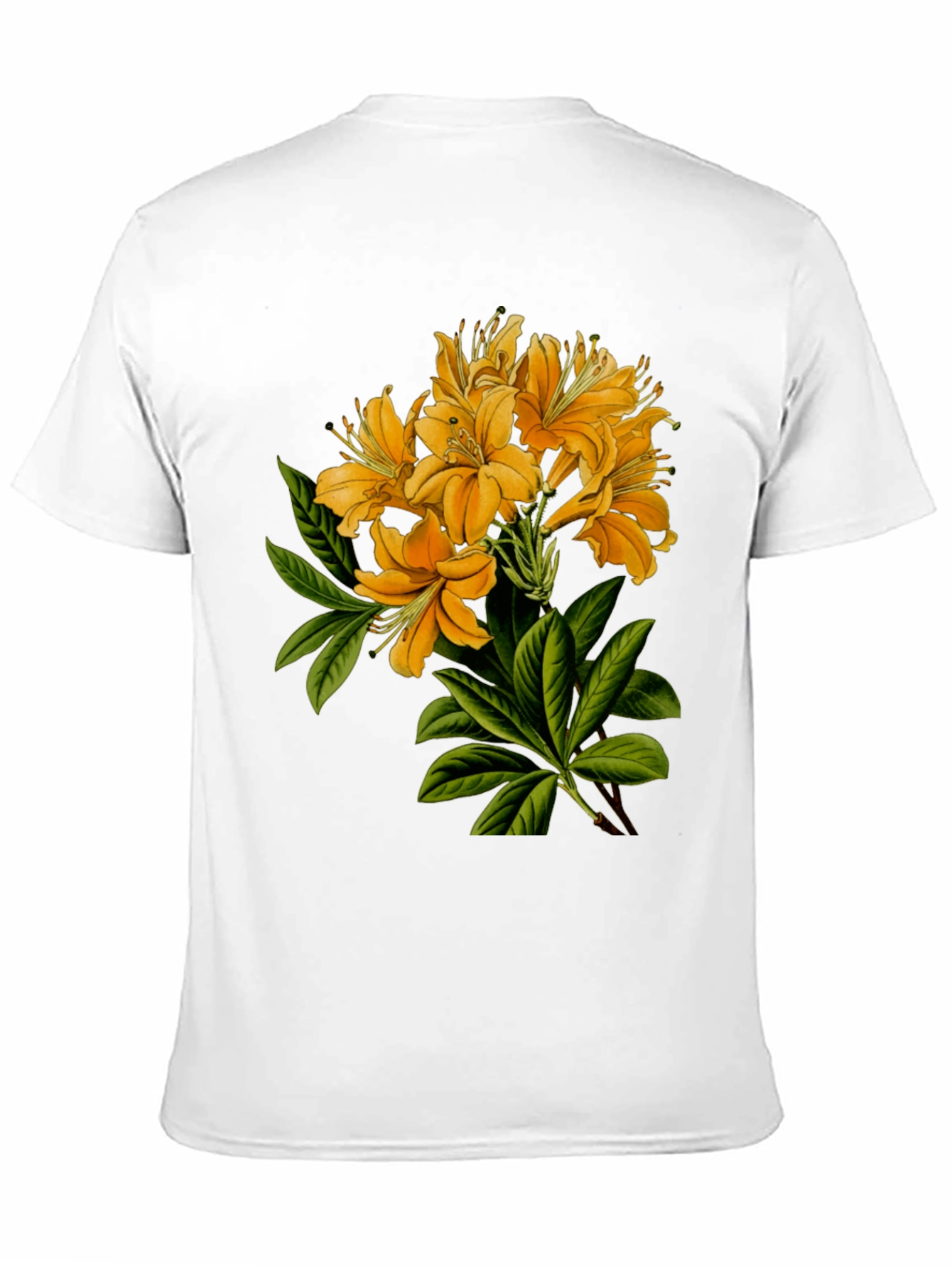 Floral Print Crew Neck T-Shirt