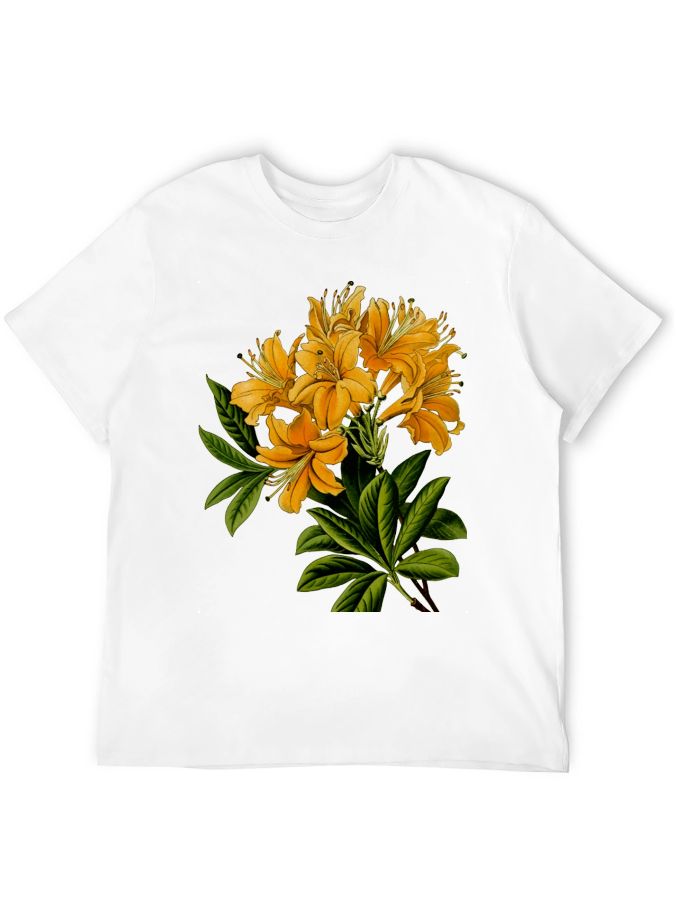 Floral Print Crew Neck T-Shirt