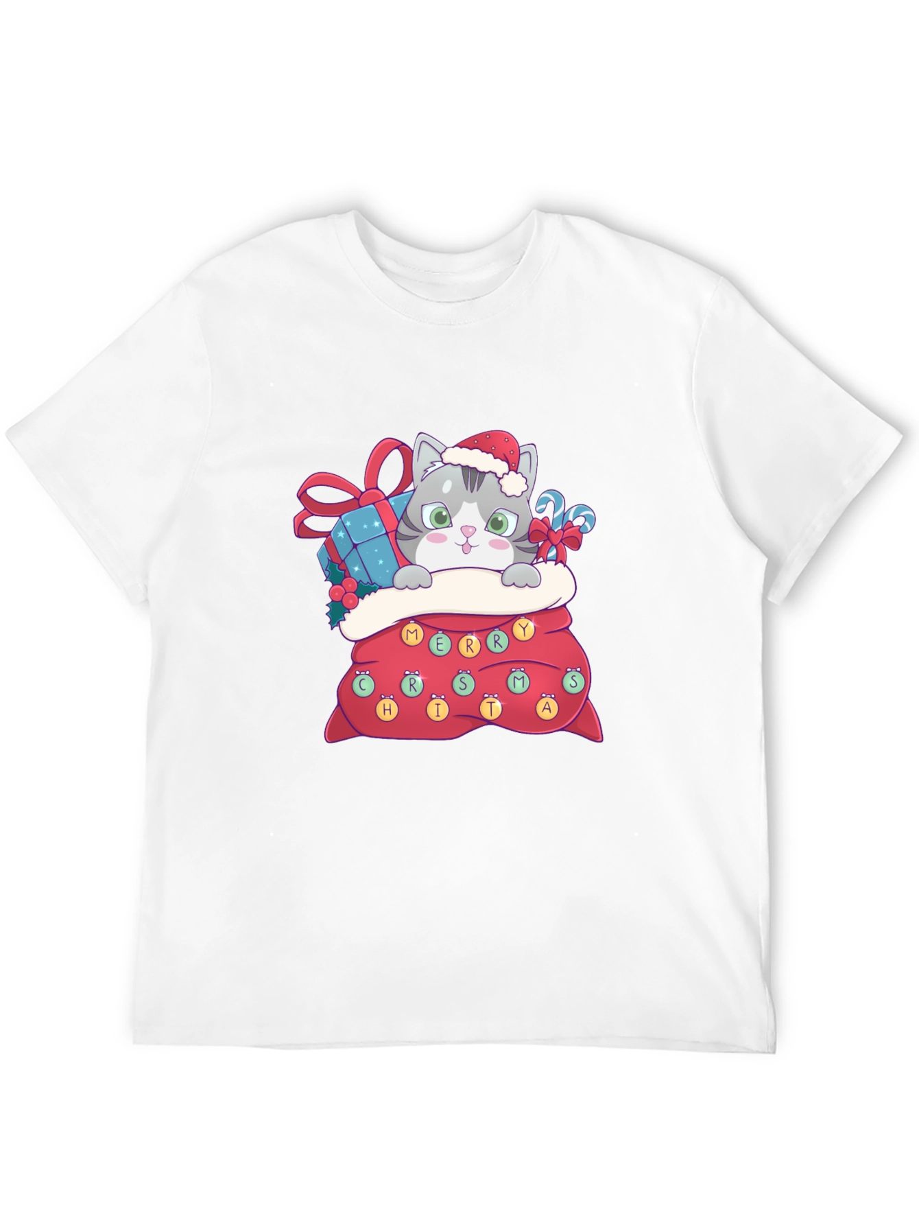 Christmas Cat in Bag Graphic Tee