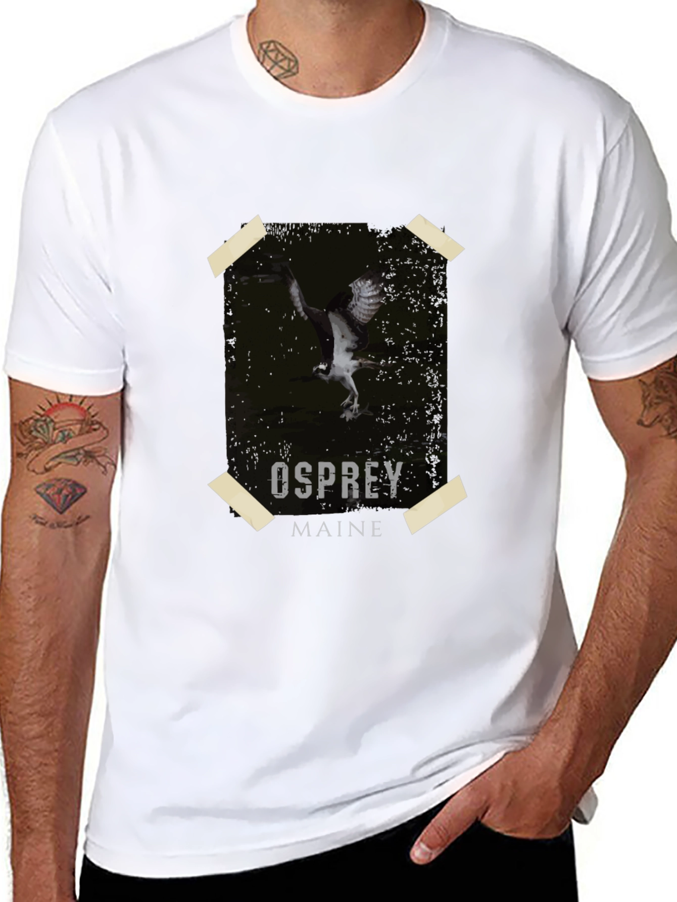Osprey Maine Graphic Tee
