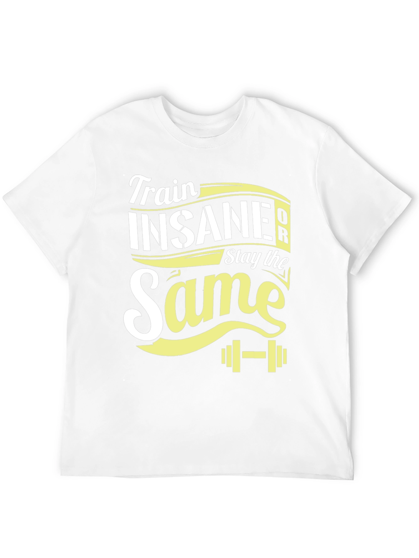 Train Insane or Stay the Same T-Shirt