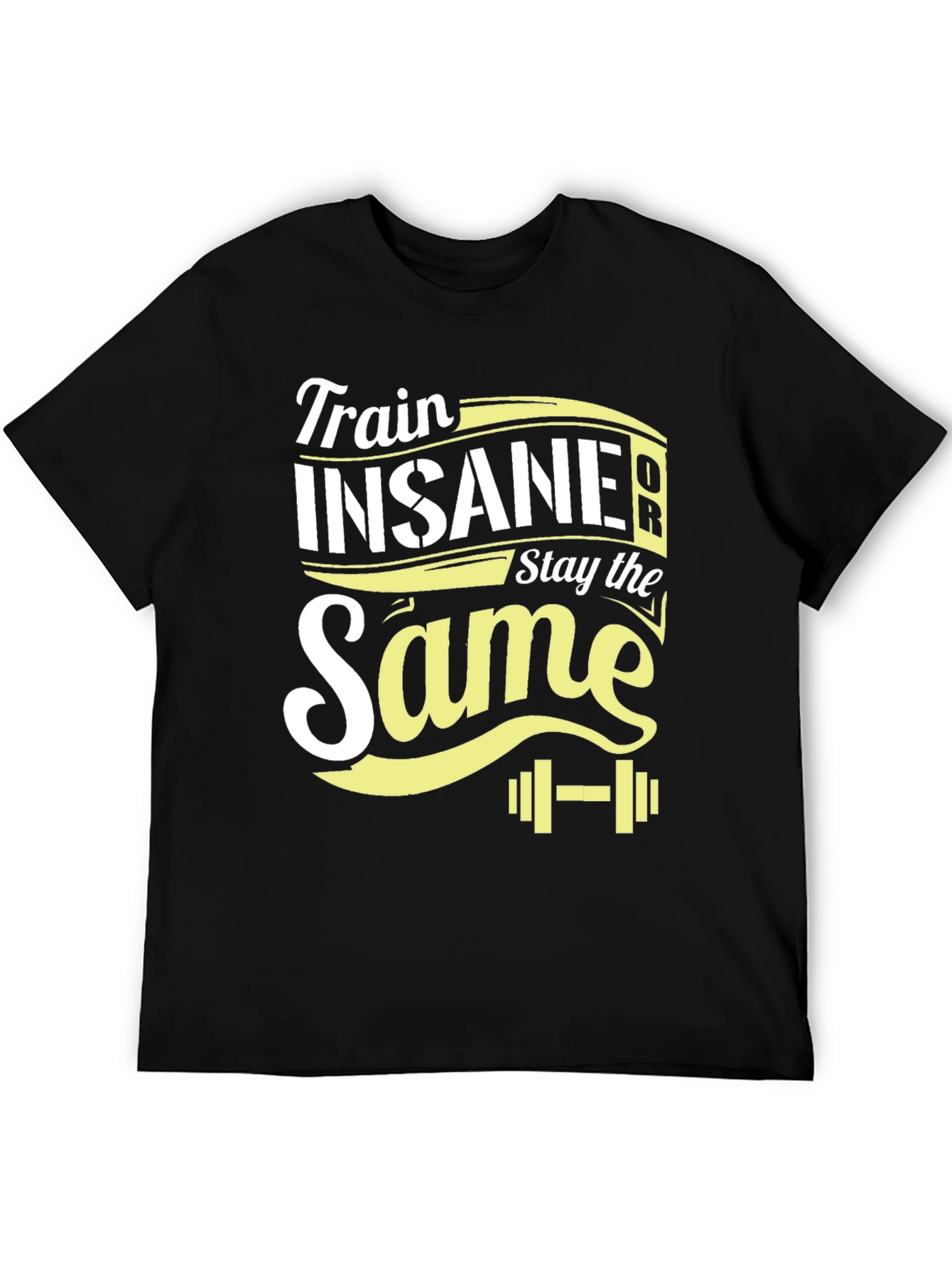 Train Insane or Stay the Same T-Shirt