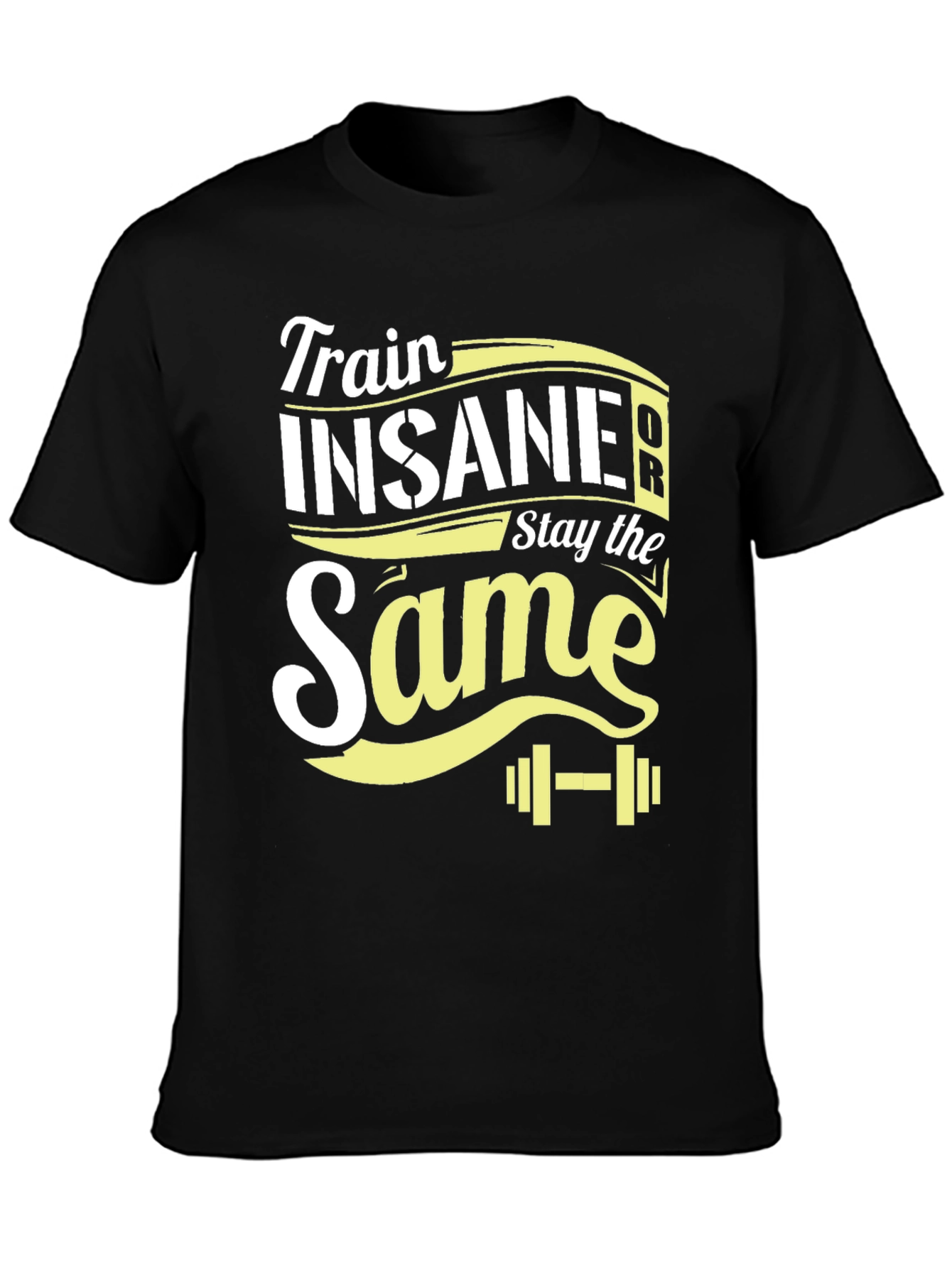 Train Insane or Stay the Same T-Shirt