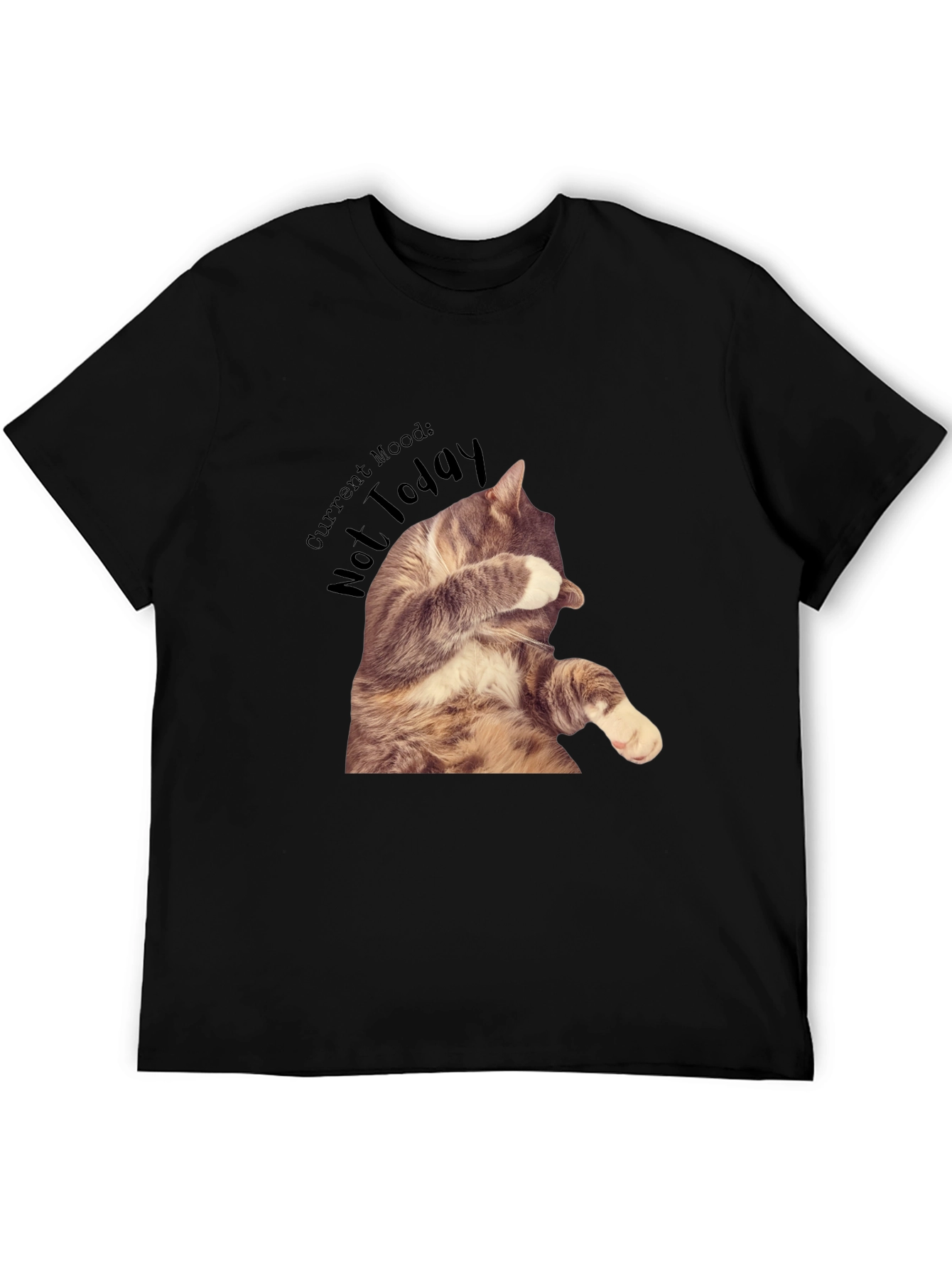 Moody Cat Graphic T-Shirt - Not Today!