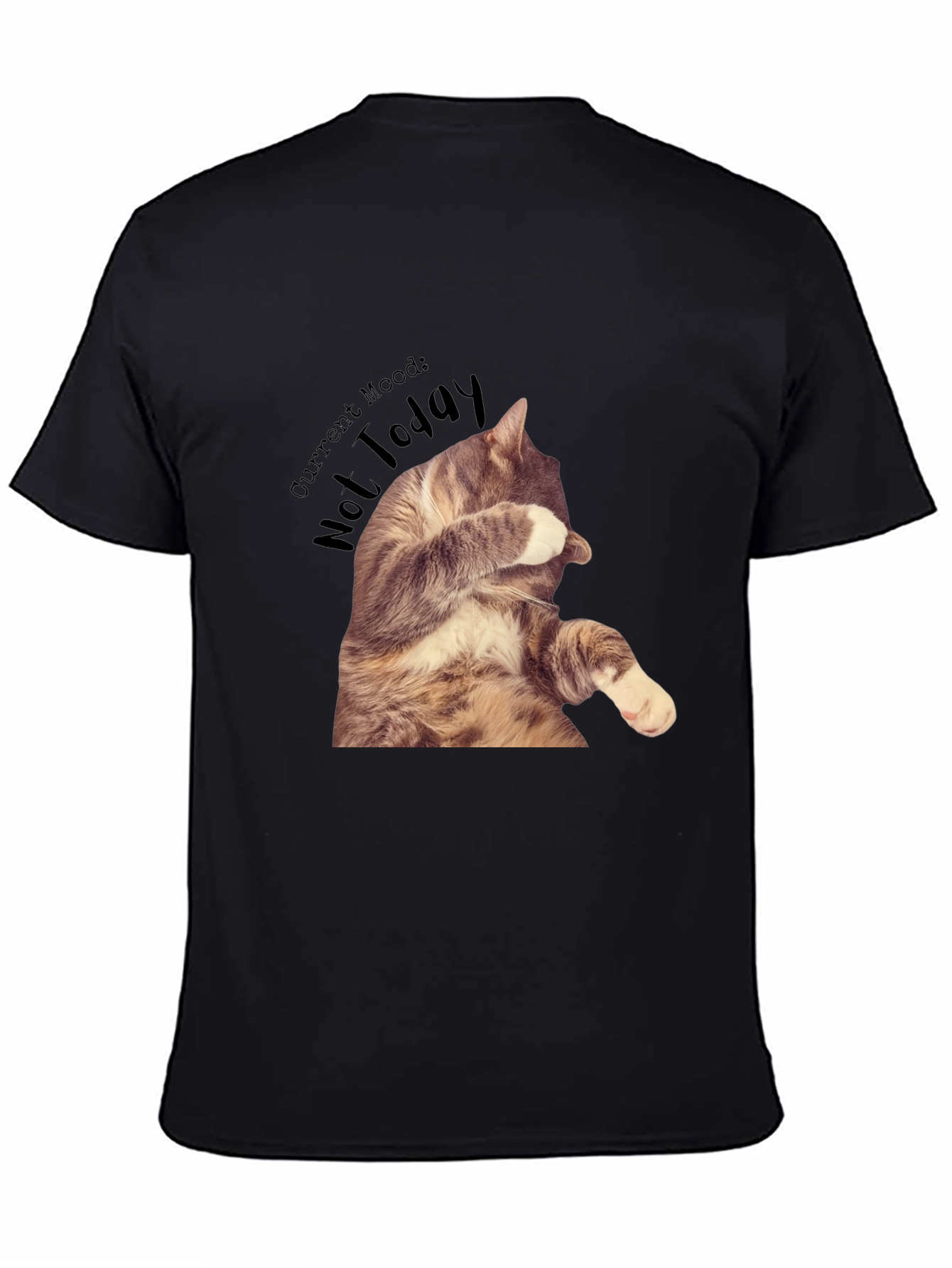 Moody Cat Graphic T-Shirt - Not Today!