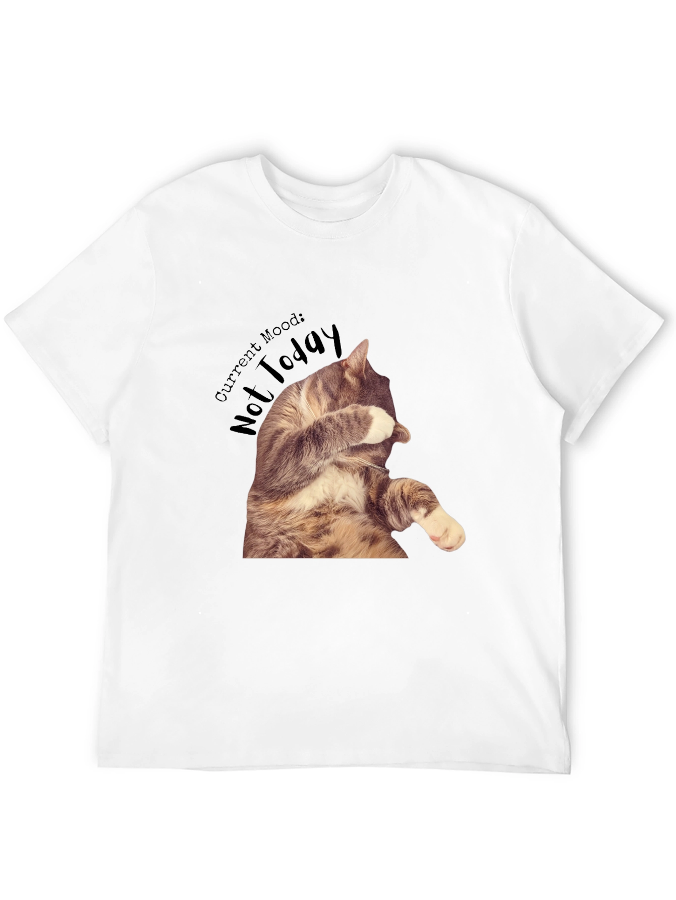 Moody Cat Graphic T-Shirt - Not Today!