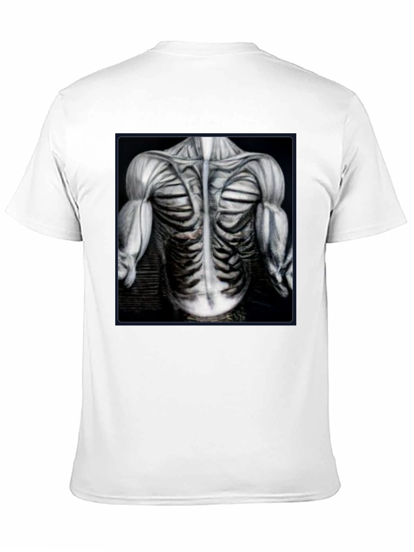 Anatomical Muscle T-Shirt - Bodybuilding Gym Tee