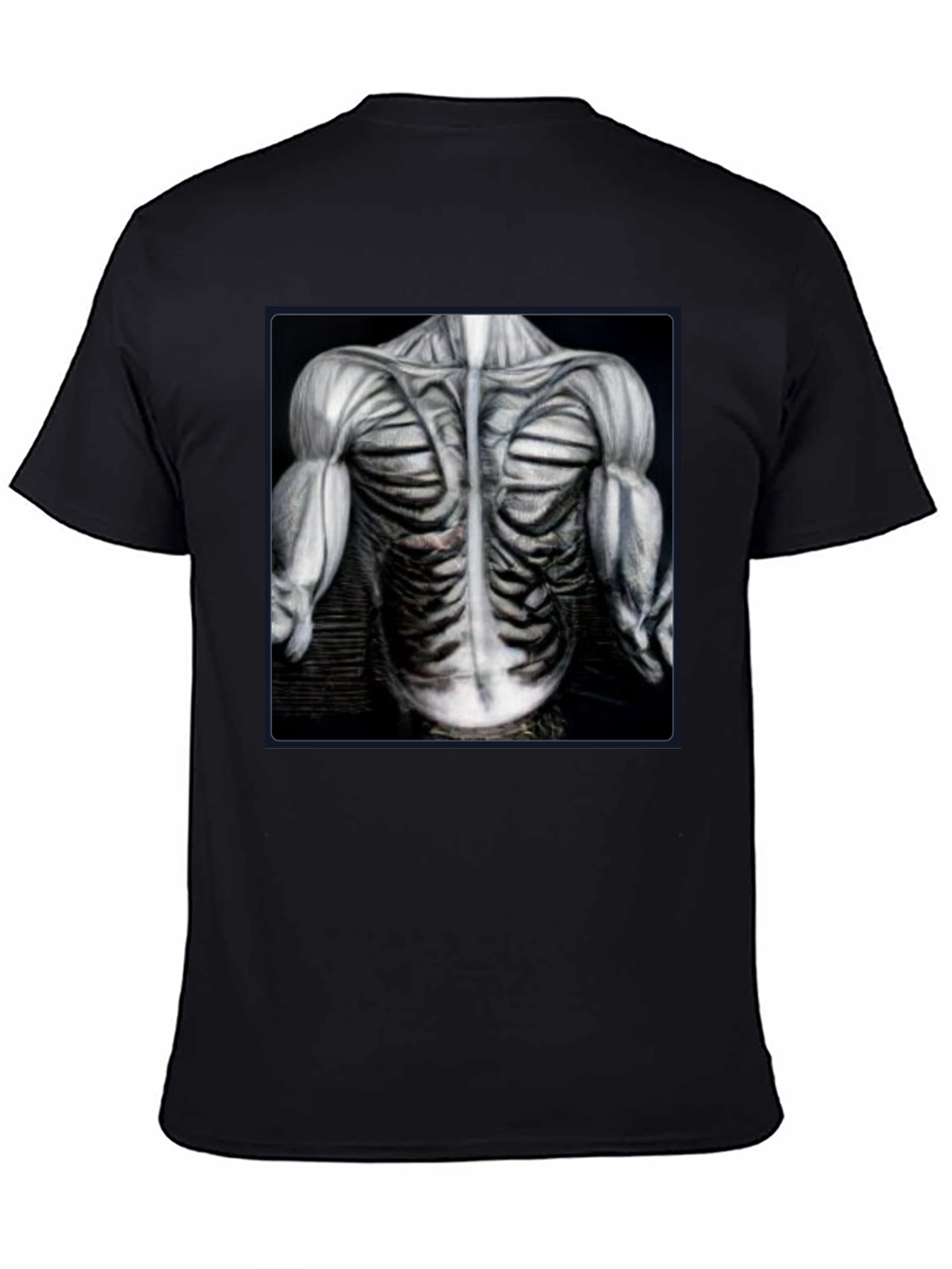 Anatomical Muscle T-Shirt - Bodybuilding Gym Tee