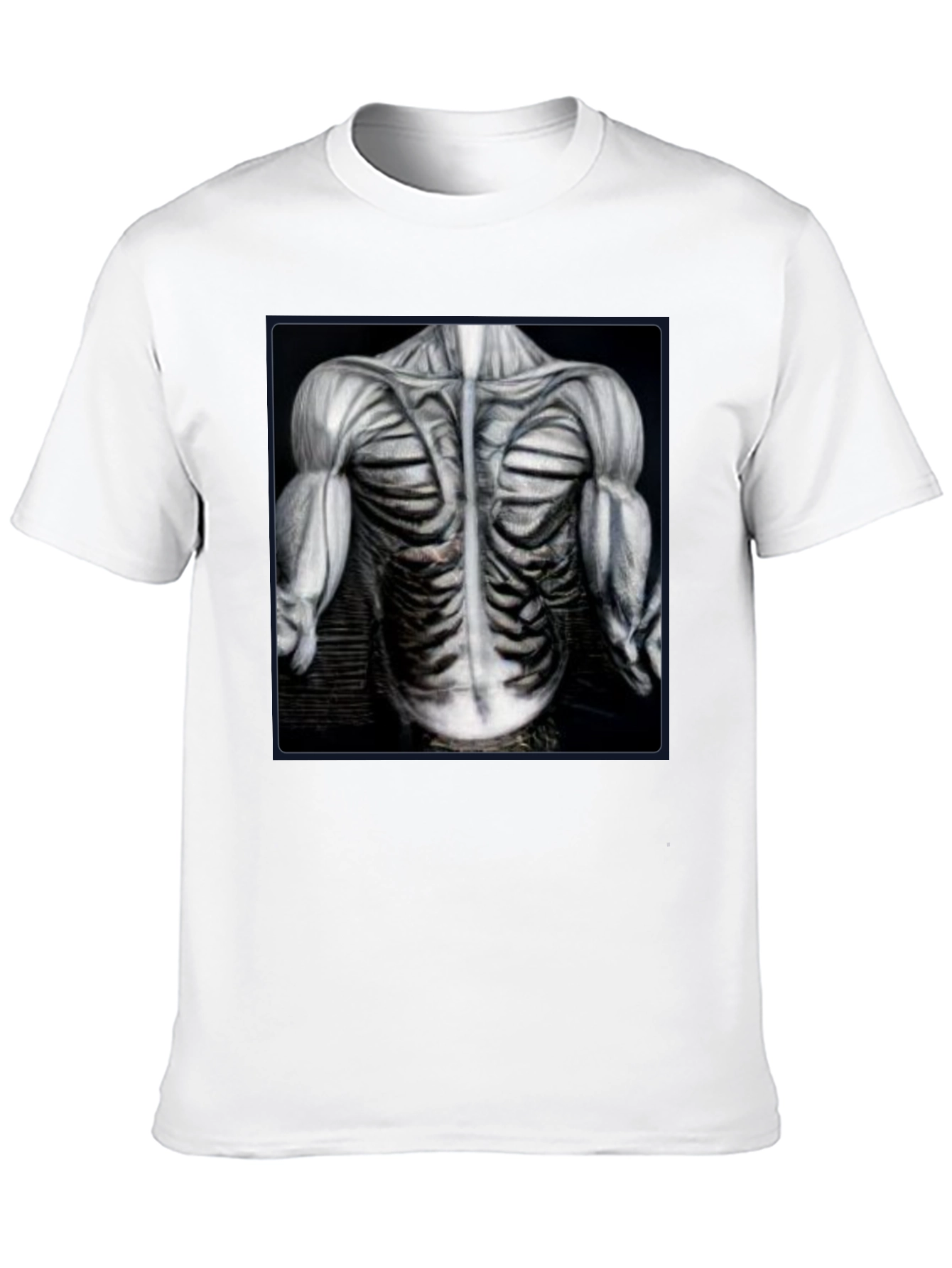 Anatomical Muscle T-Shirt - Bodybuilding Gym Tee