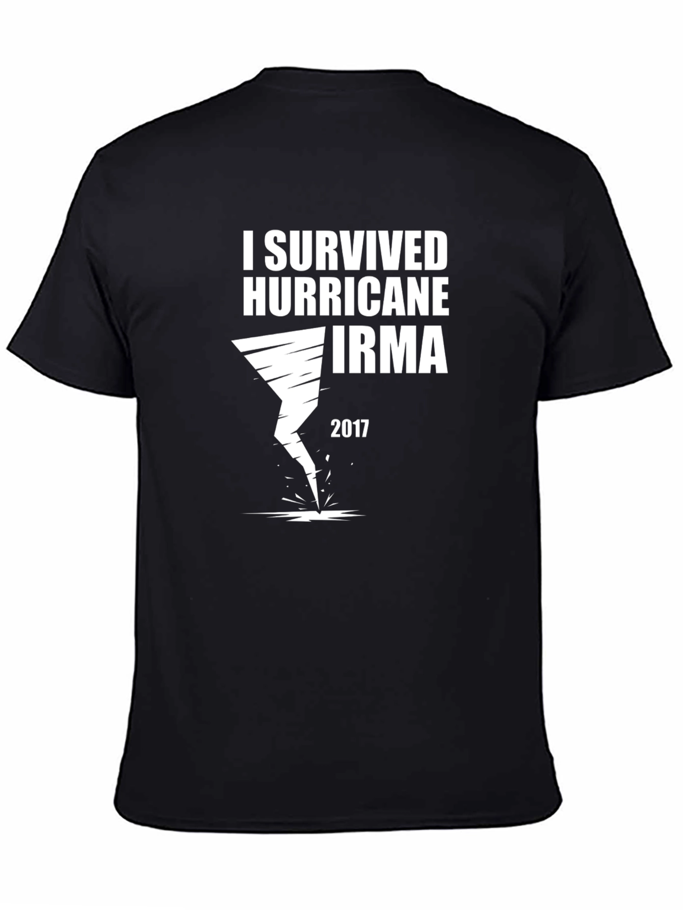 I Survived Hurricane Irma 2017 T-Shirt