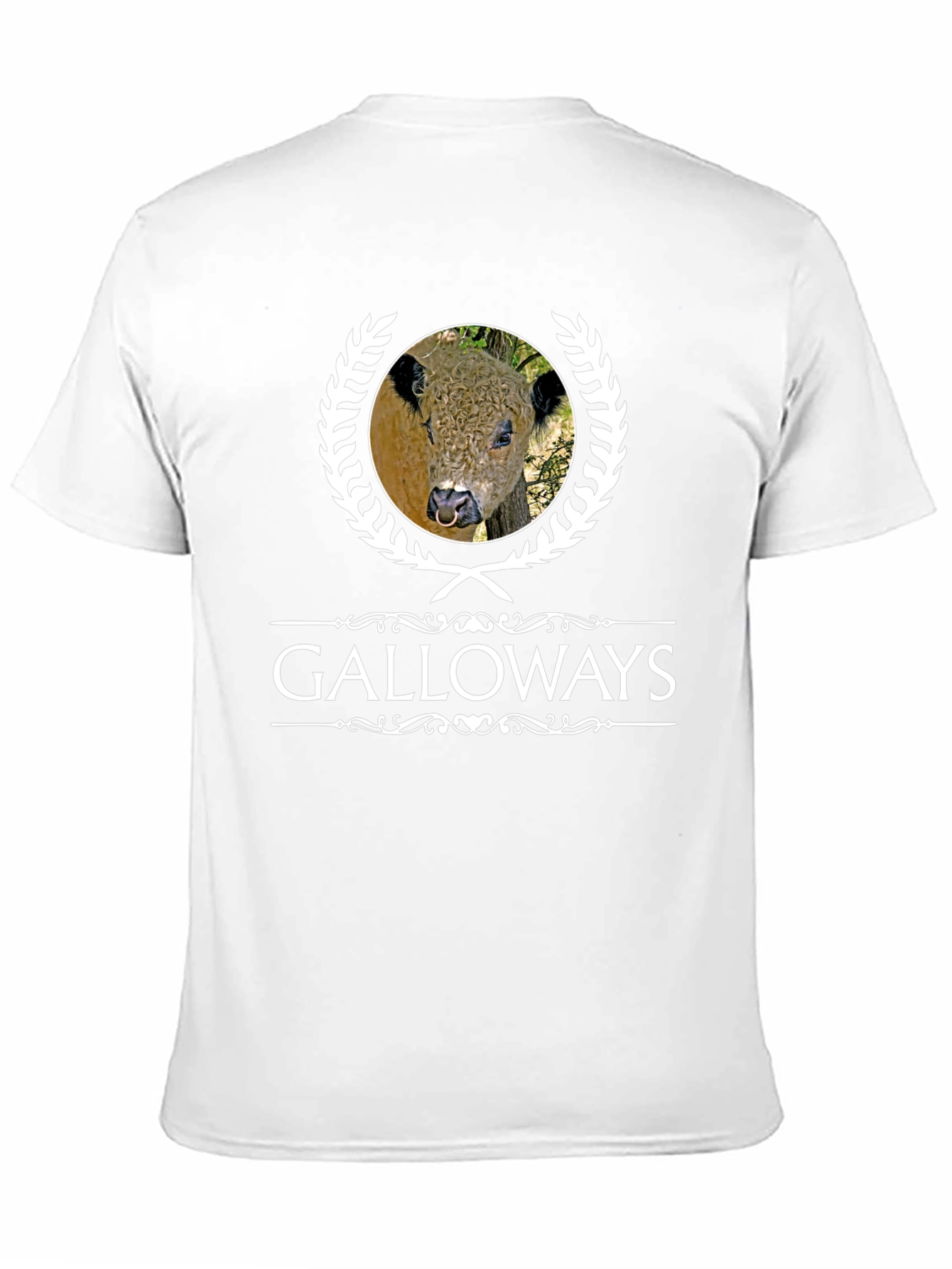 Galloways Bull Graphic Tee - Unique Design T-Shirt