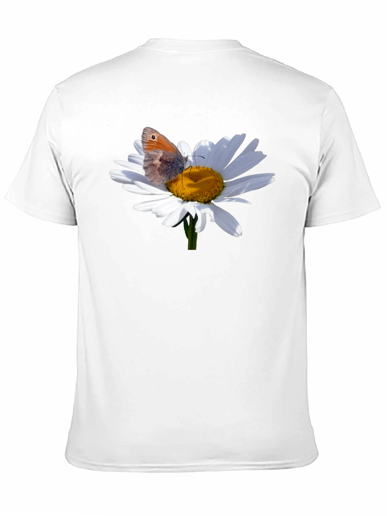 Daisy Butterfly Graphic T-Shirt - Nature Inspired Tee