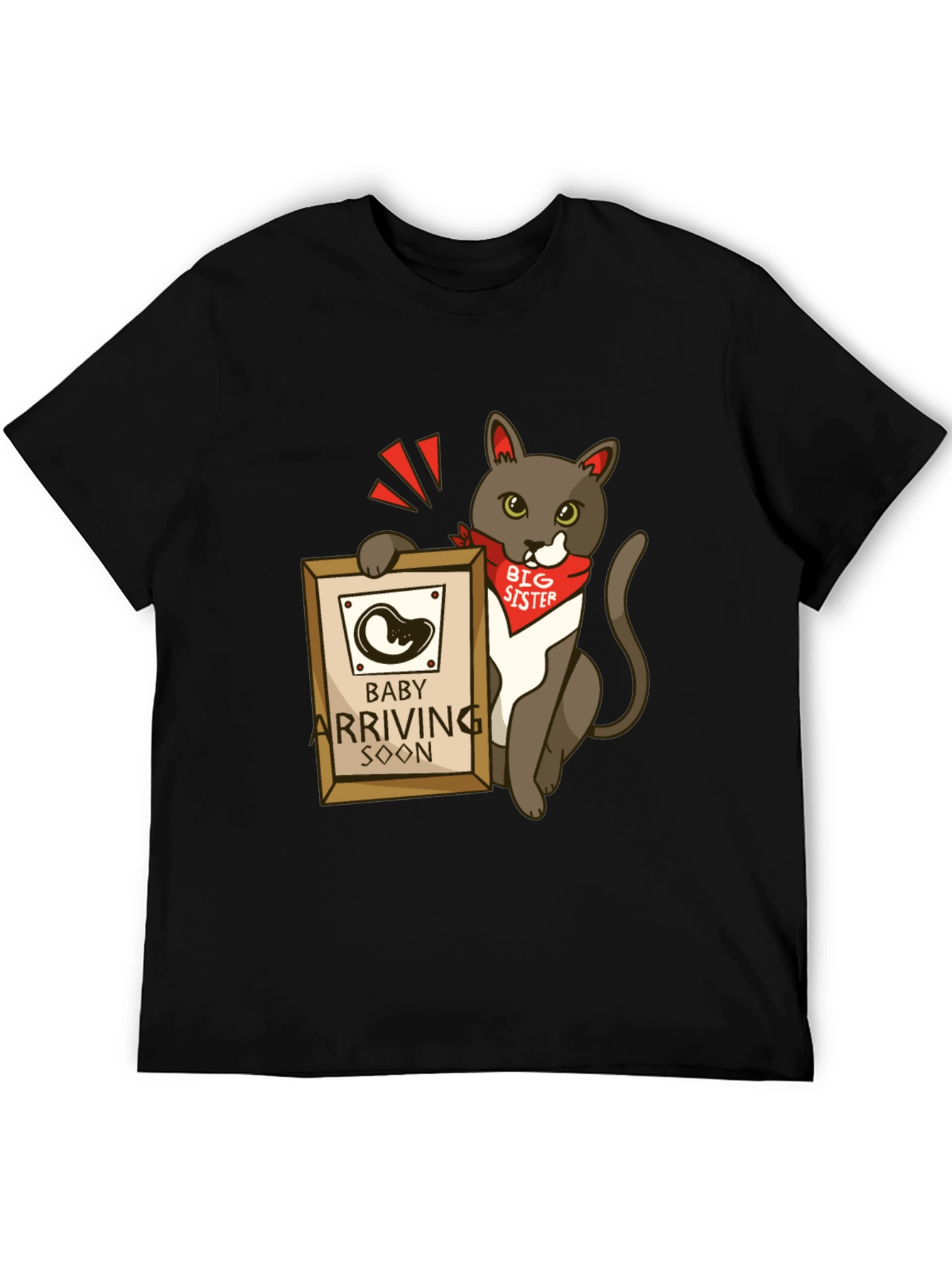 Big Sister Cat T-Shirt - Baby Announcement Tee
