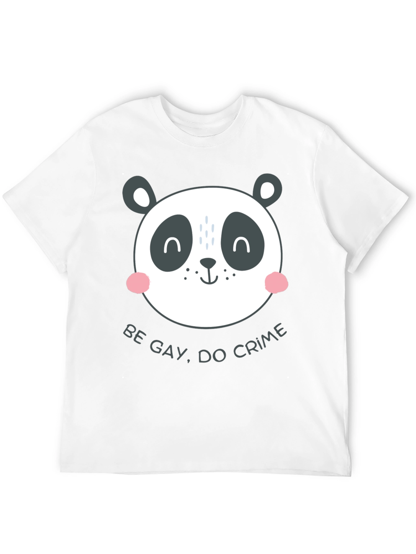 Panda Be Gay Do Crime Graphic Tee