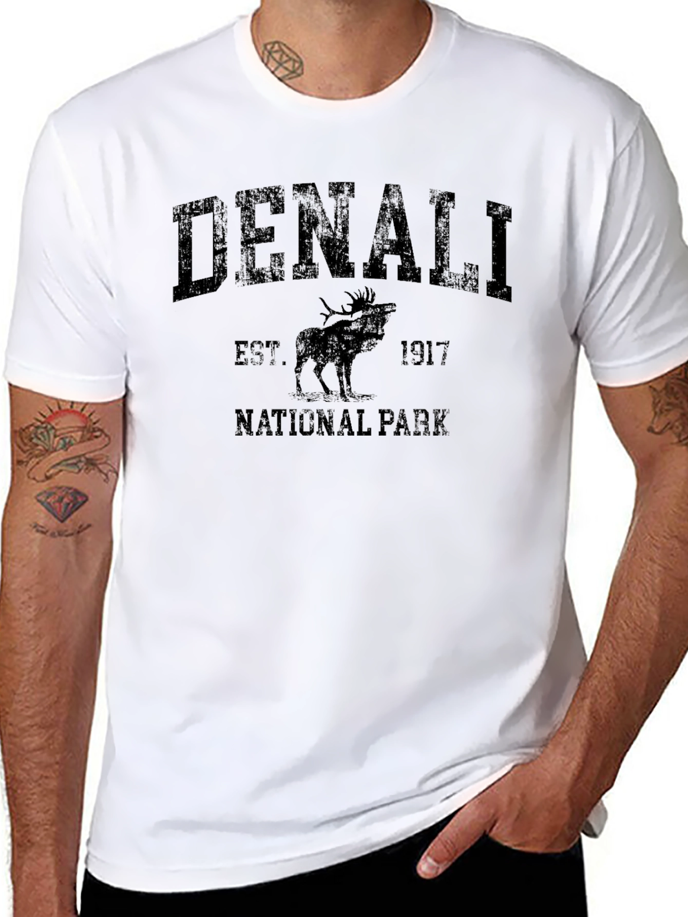 Denali National Park Black Graphic Tee